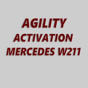 Agility Mercedes W209