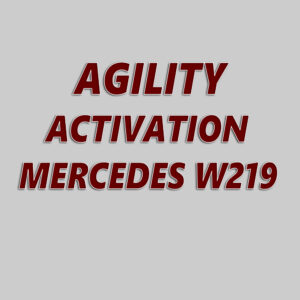 Agility Mercedes W219